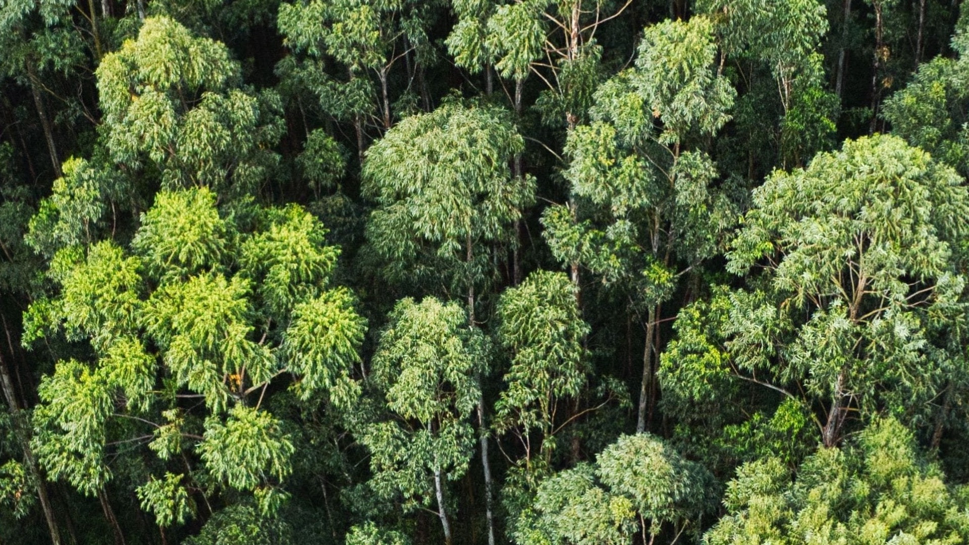 Ketahanan Lingkungan